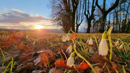 Priklicali smo pomlad